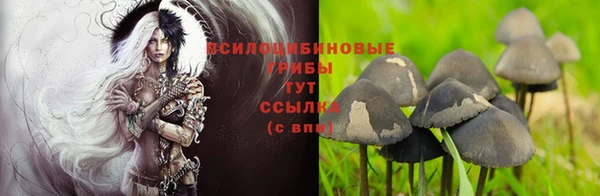 стаф Карталы
