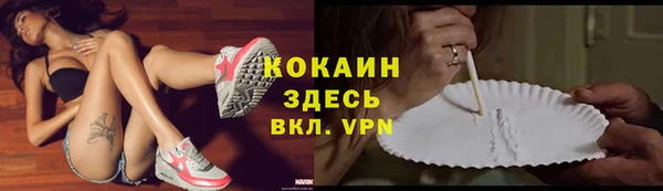 стаф Карталы