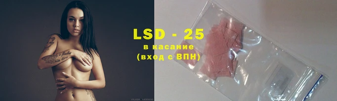 прущие крисы Карпинск