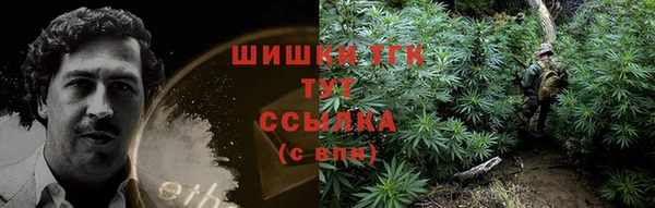 прущие крисы Карпинск