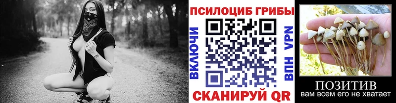 Галлюциногенные грибы мицелий  Купить где  Осташков 